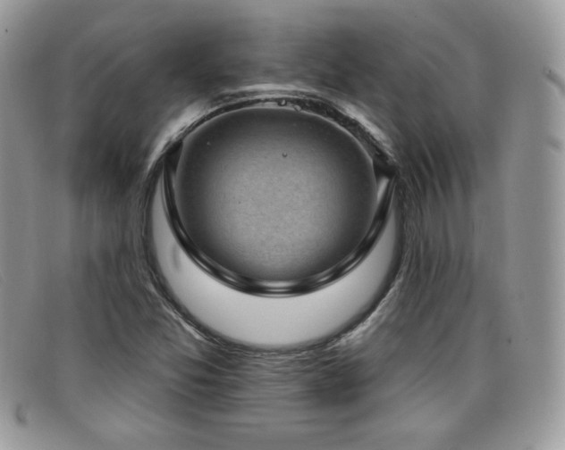 X0000099321357200805021304