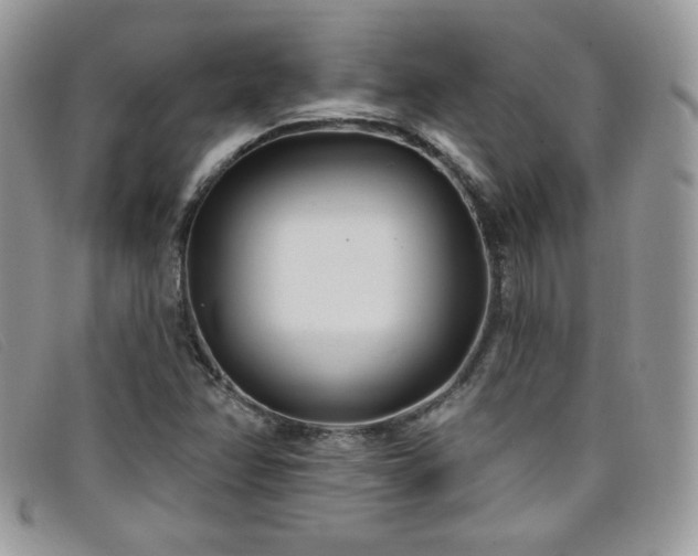 X0000099321358200805021304