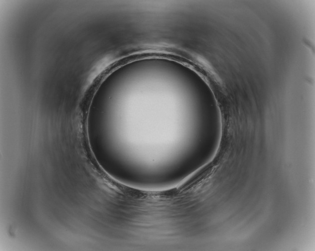 X0000099321360200805021304