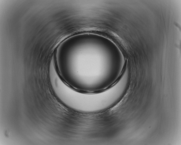 X0000099321361200805021304