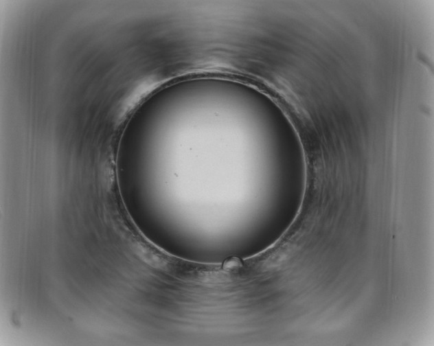 X0000099321363200805021304