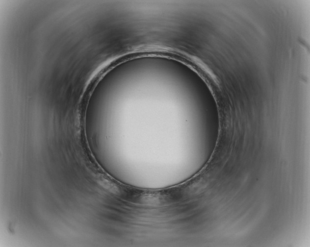 X0000099321364200805021304