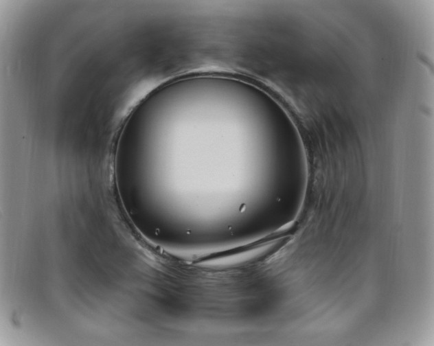 X0000099321367200805021304