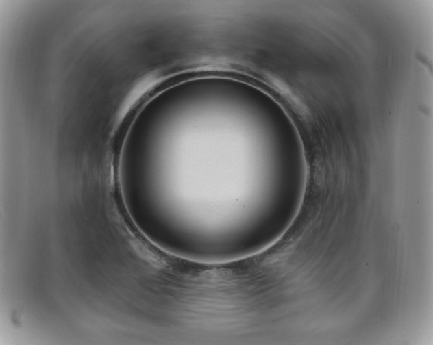 X0000099321368200805021304