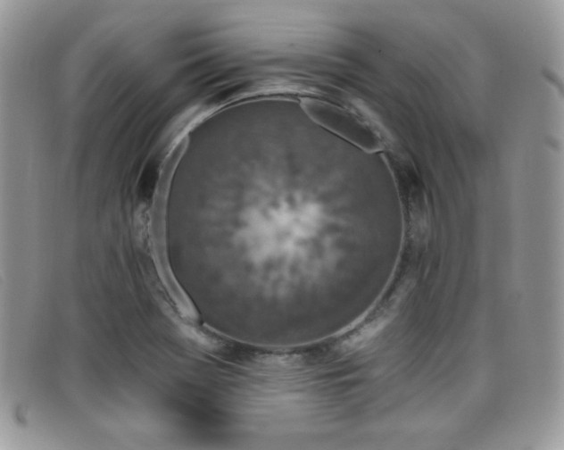 X0000099321369200805021304