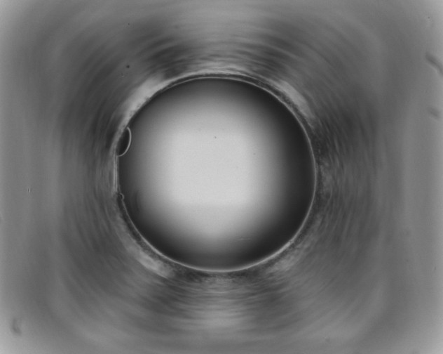 X0000099321371200805021304
