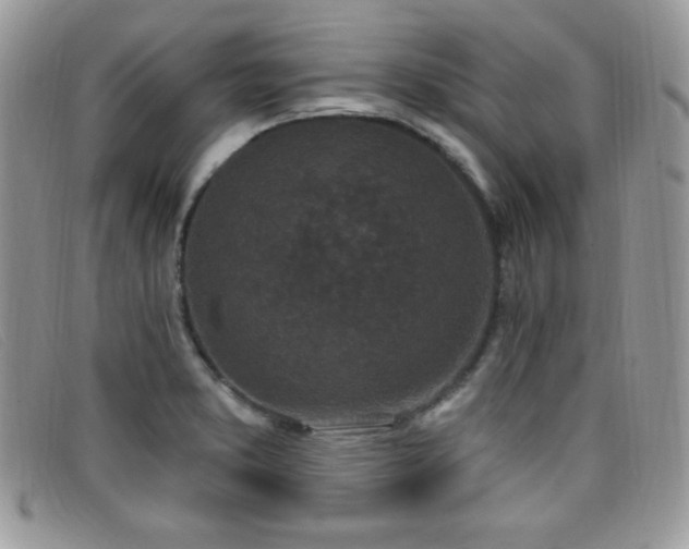 X0000099321373200805021304
