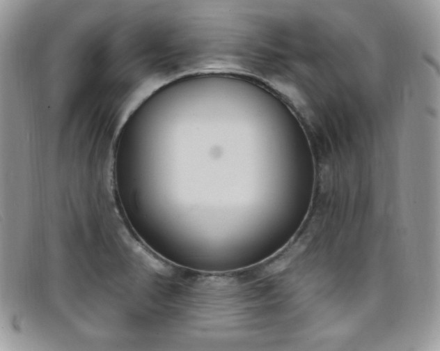 X0000099321374200805021304