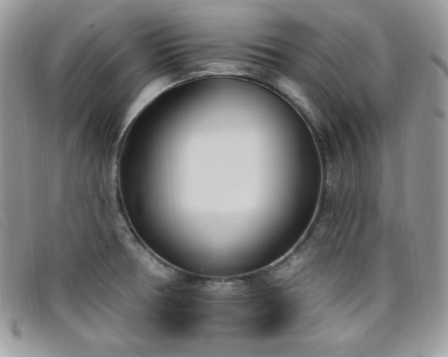 X0000099321378200805021304