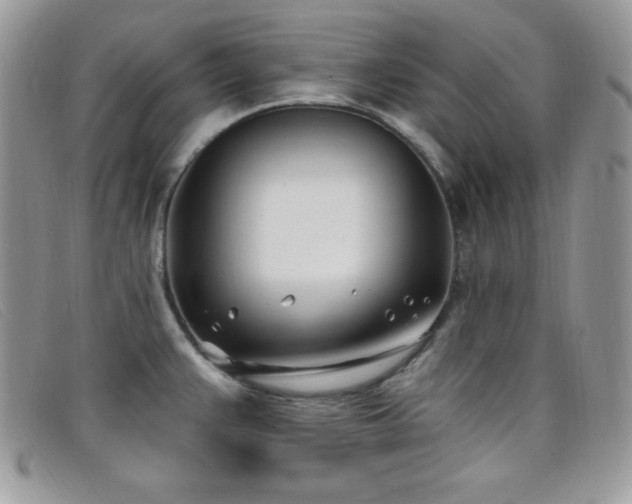 X0000099321383200805021304