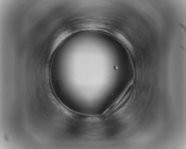 X0000099321384200805021304