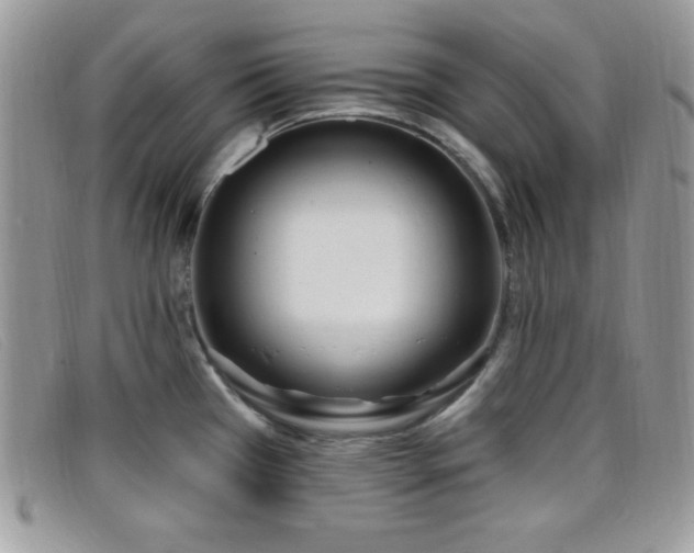 X0000099321385200805021304