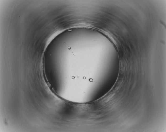 X0000099321387200805021304
