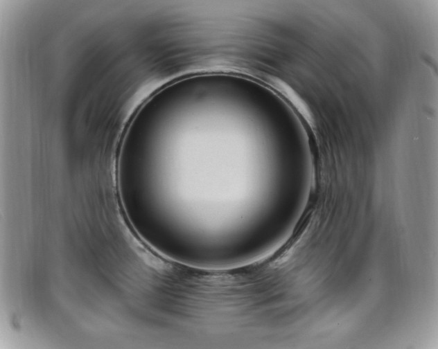 X0000099321388200805021304