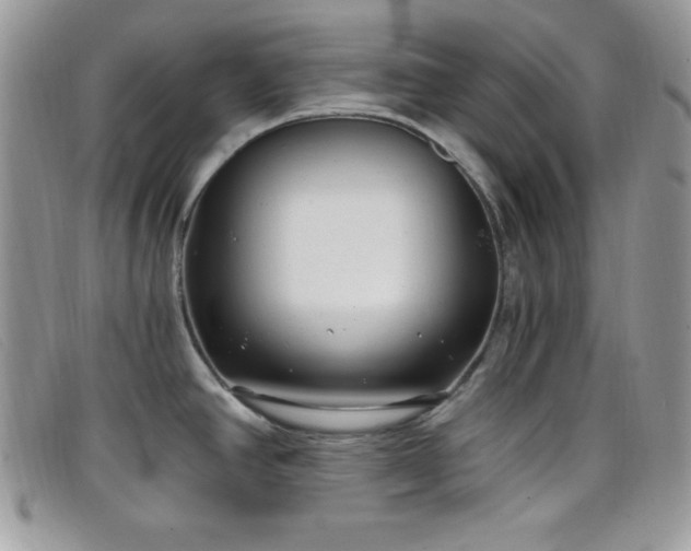 X0000099321390200805021304