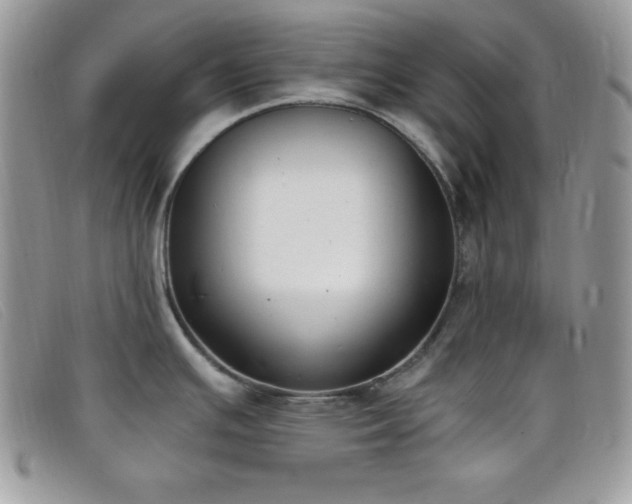 X0000099321391200805021304