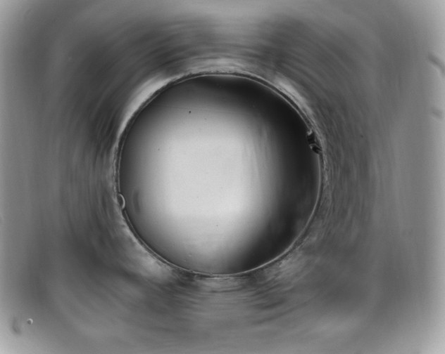 X0000099321392200805021304