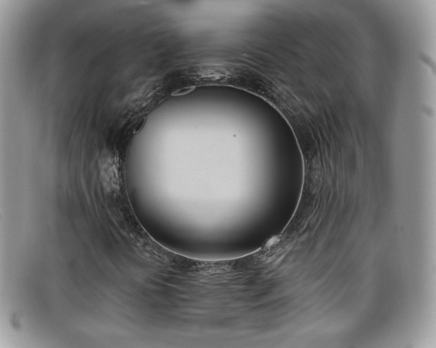 X0000099321394200805021303