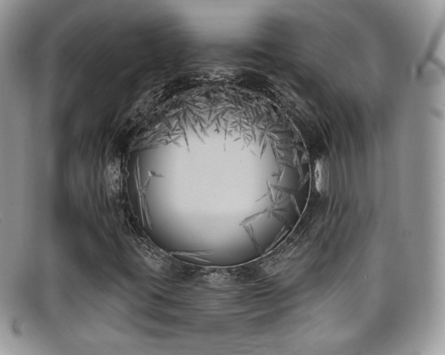 X0000099321395200805021303