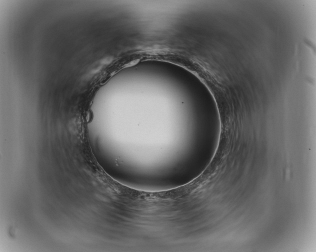 X0000099321398200805021303