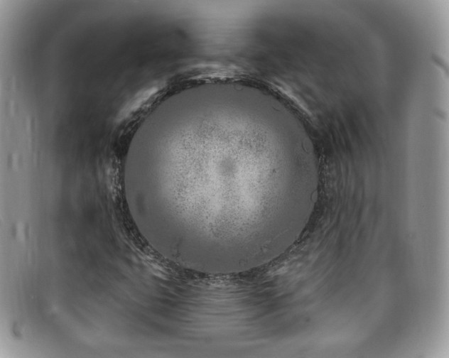 X0000099321399200805021303