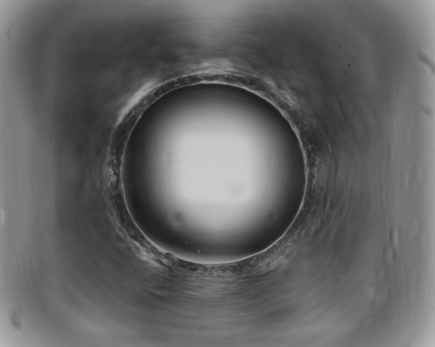 X0000099321400200805021303