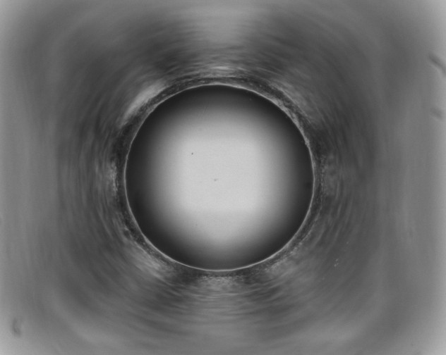 X0000099321402200805021303