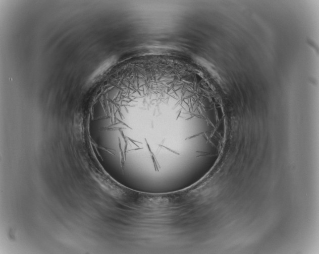 X0000099321403200805021303