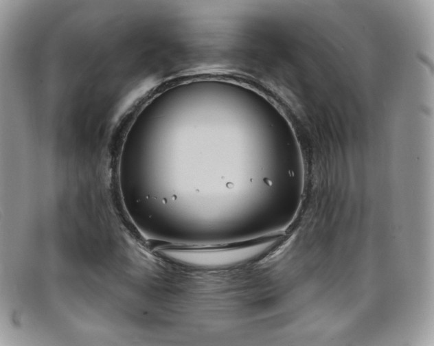 X0000099321406200805021303