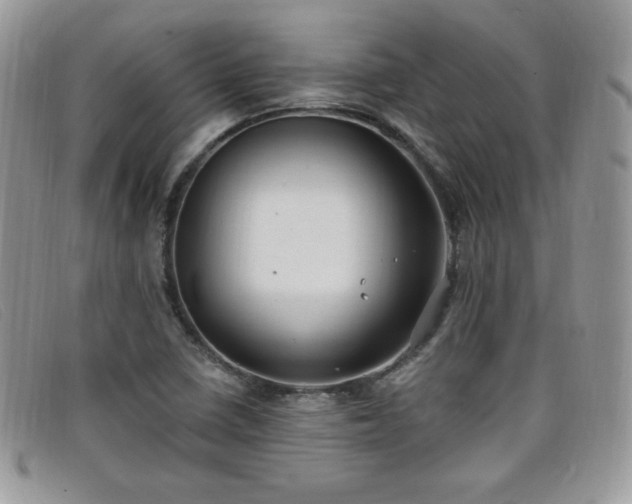 X0000099321410200805021304