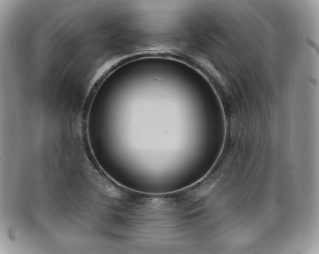 X0000099321412200805021304