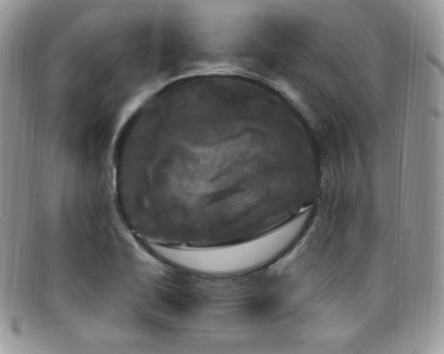 X0000099321414200805021304