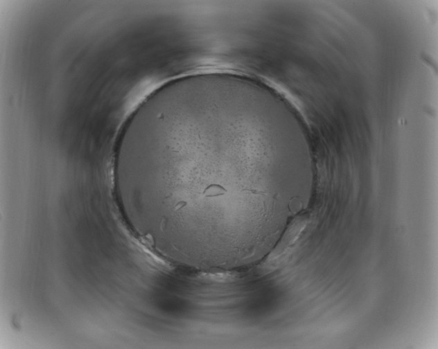 X0000099321415200805021304