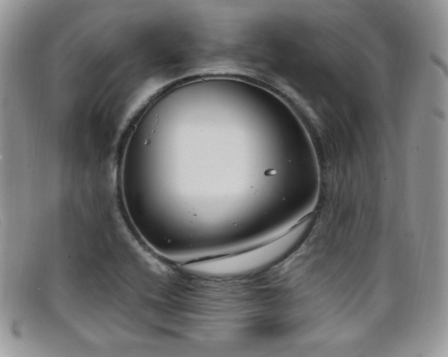 X0000099321416200805021304