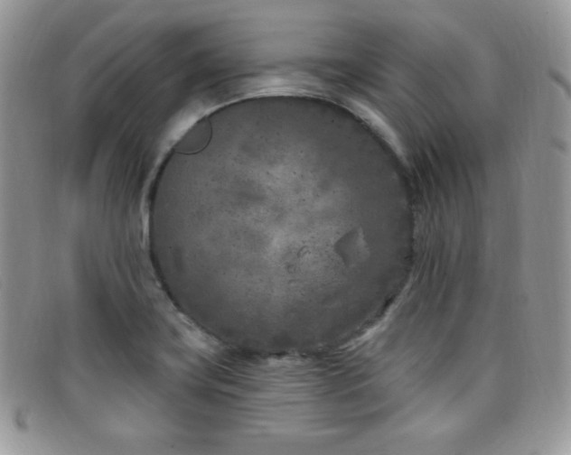 X0000099321419200805021304