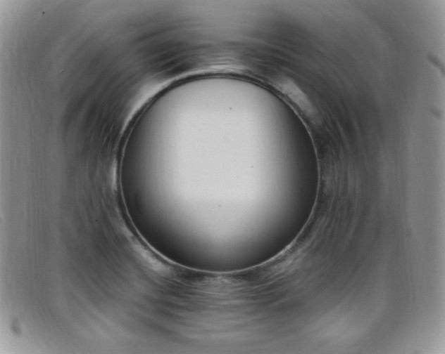 X0000099321420200805021304