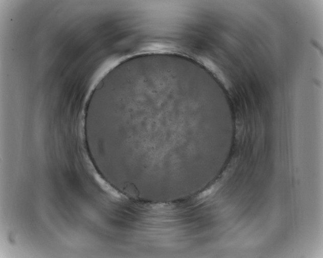 X0000099321421200805021304