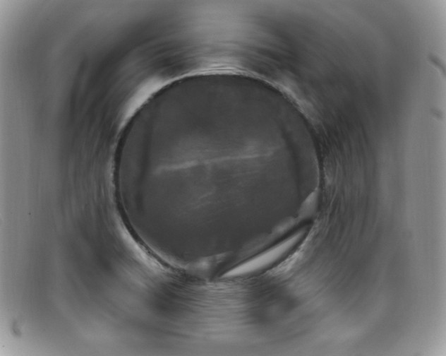 X0000099321422200805021304