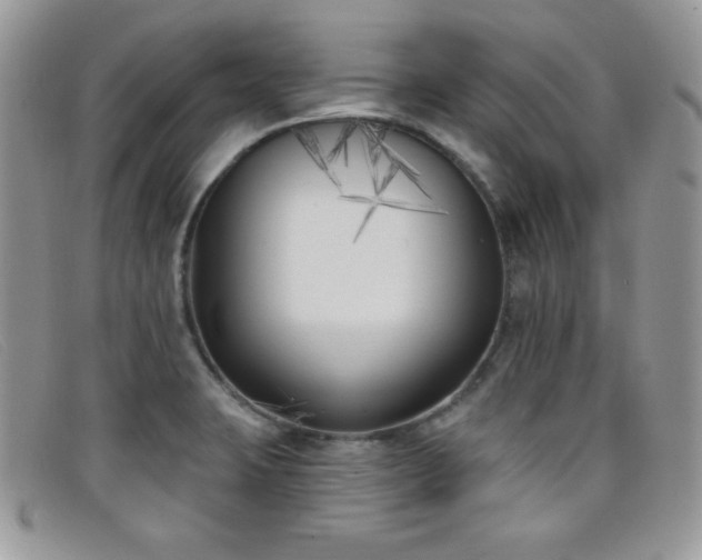 X0000099321423200805021304