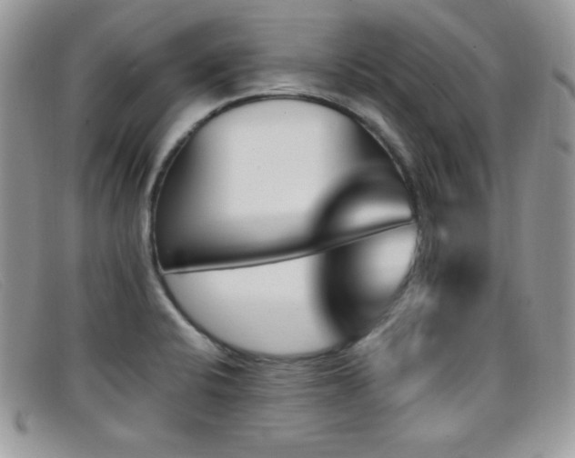 X0000099321424200805021304