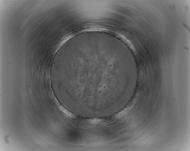 X0000099321425200805021304