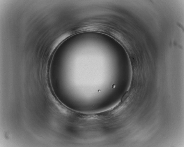 X0000099321426200805021304