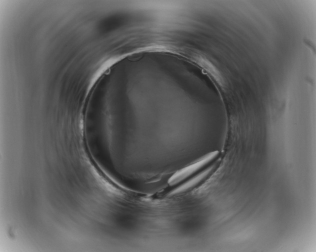 X0000099321428200805021304