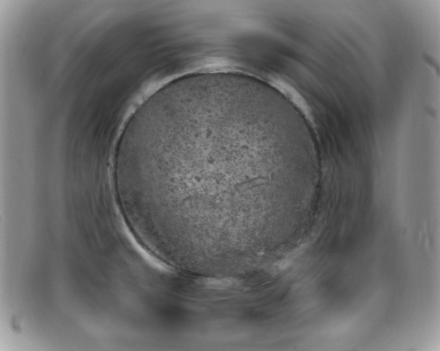 X0000099321429200805021304