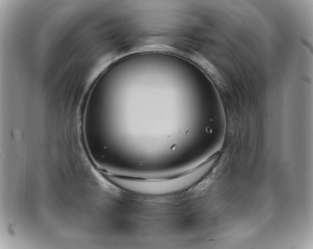 X0000099321430200805021304