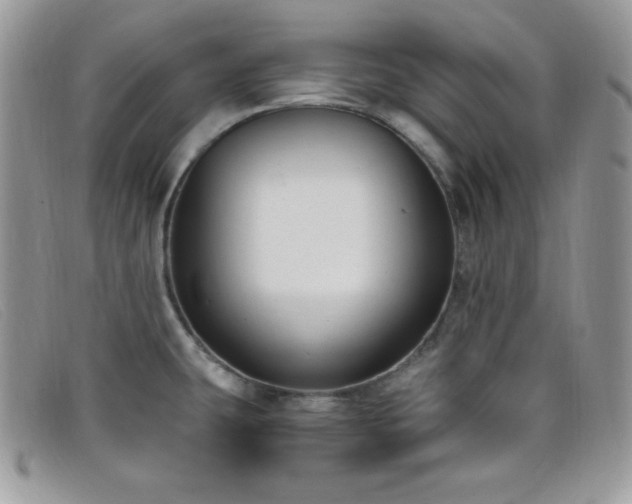 X0000099321431200805021304