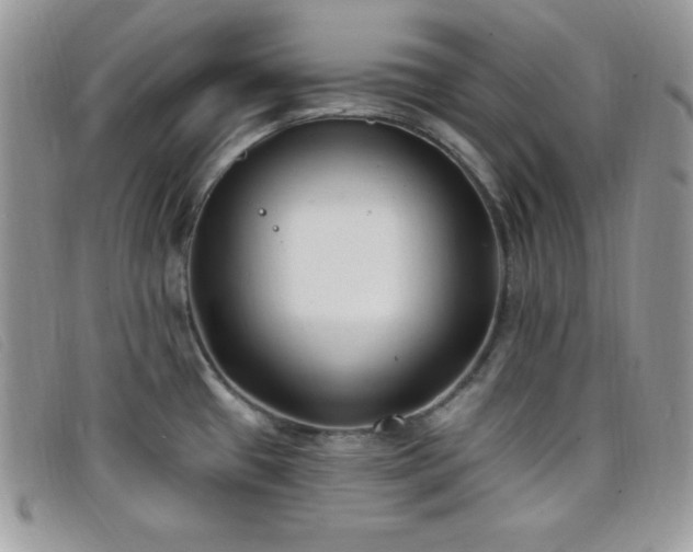 X0000099321433200805021304