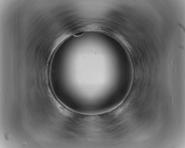 X0000099321434200805021304