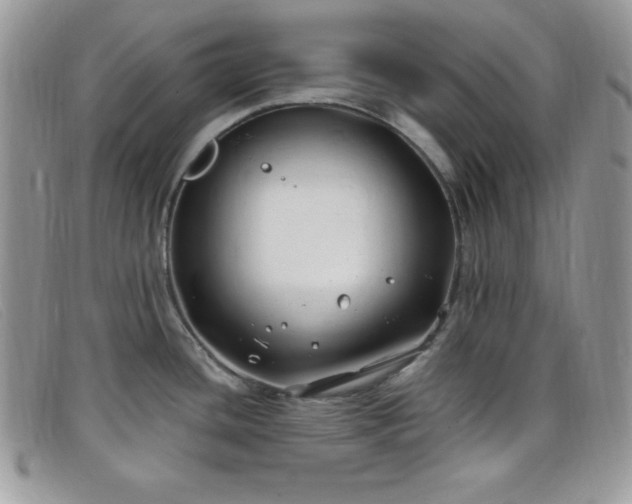 X0000099321436200805021304