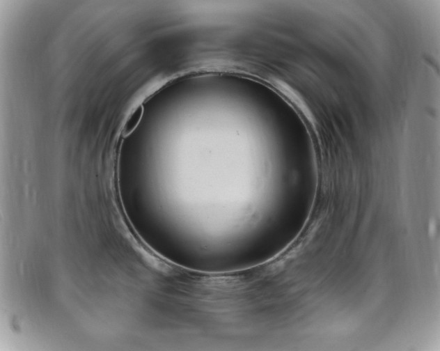X0000099321437200805021304